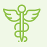 Doctor Pimpama Graphic